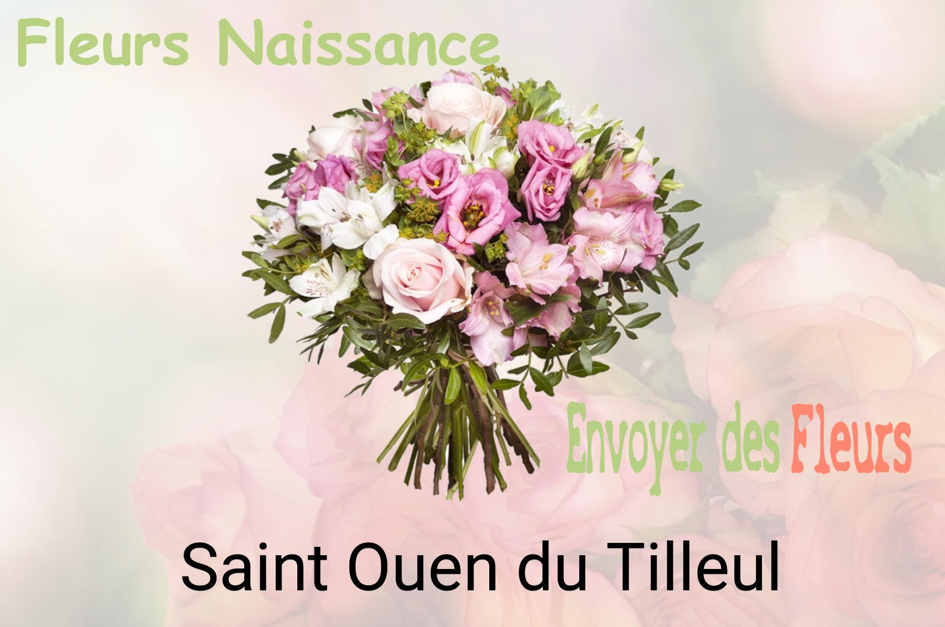 Bouquet de fleurs de naissance livré à Saint-Ouen-du-Tilleul
